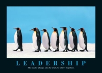 IL LEADER, come lo vorrei